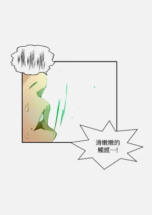 第646頁圖