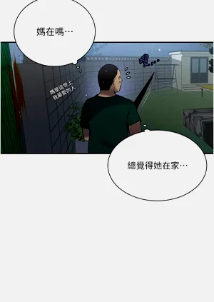 第791頁圖