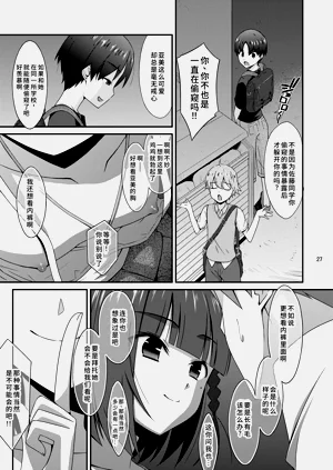第27頁圖
