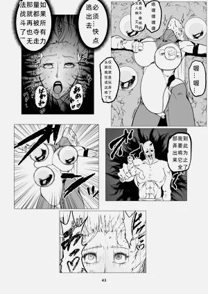 第43页图