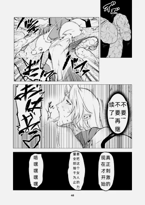 第48页图