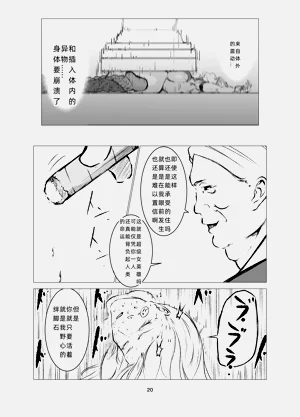 第20页图