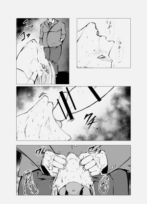 第25页图