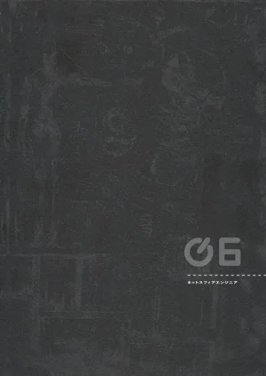 第66頁圖