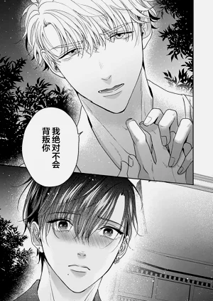 第205頁圖