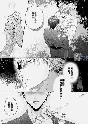 第211頁圖