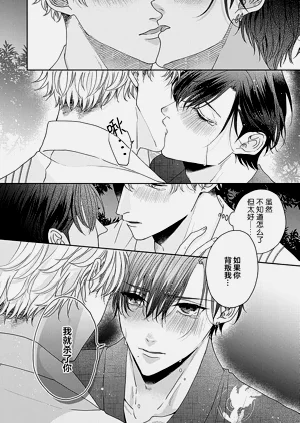 第216頁圖