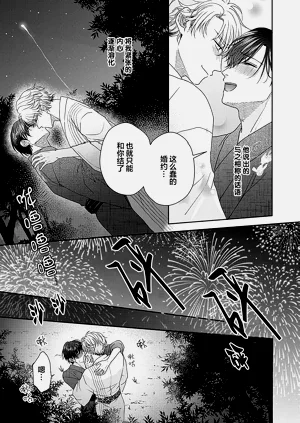 第219頁圖