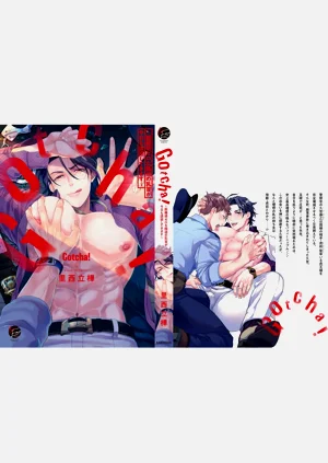 第203頁圖