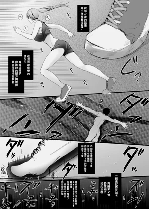 第44頁圖