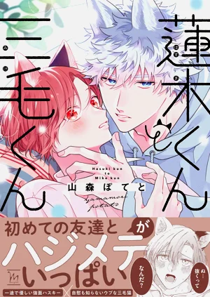 Hasukikun | 蓮木君和三毛君圖