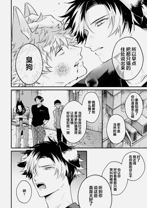 第146頁圖