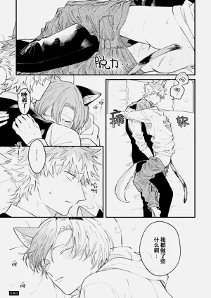 第33頁圖