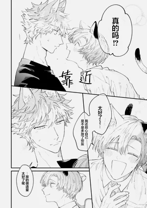 第43頁圖