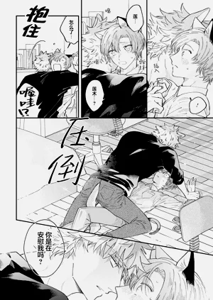 第49頁圖