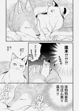 第62頁圖