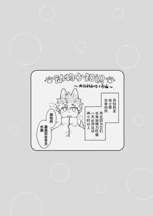 第65頁圖