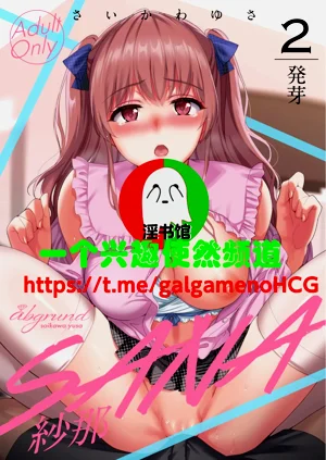 第46頁圖