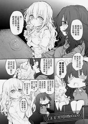 第276頁圖