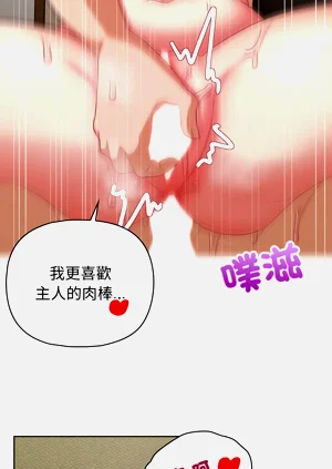 第424页图