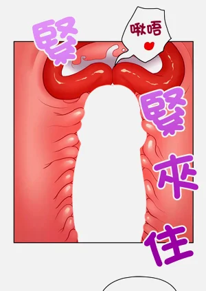 第513页图