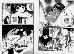 第31頁圖
