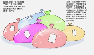 第9页图