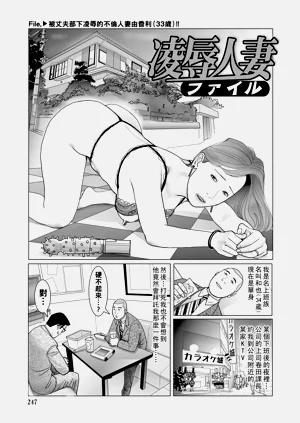 第247頁圖