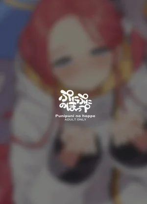 第29頁圖