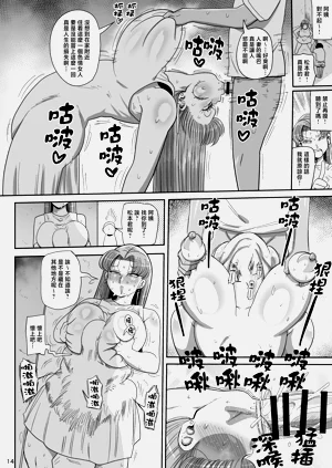 第13页图