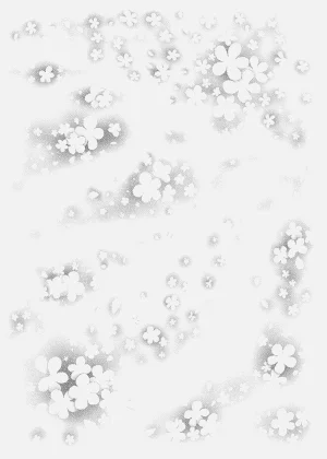 第40頁圖