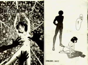 第13頁圖