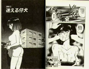 第23頁圖