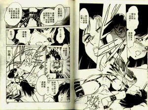 第43頁圖