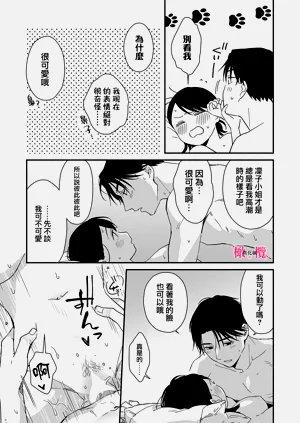 第206頁圖