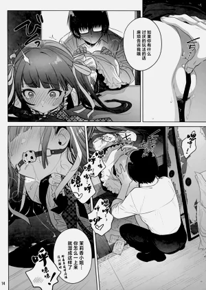 第13页图