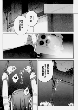 第19页图