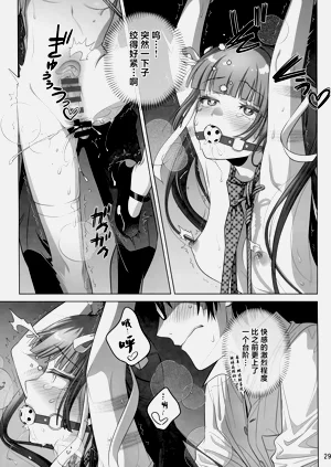 第28页图