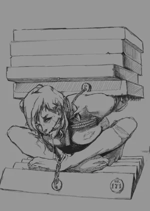 第205页图