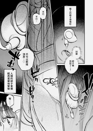第56頁圖