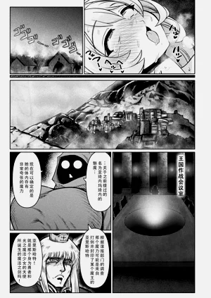 第13页图