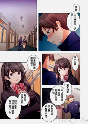 第290頁圖