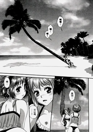 第482页图