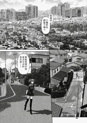 第29頁圖
