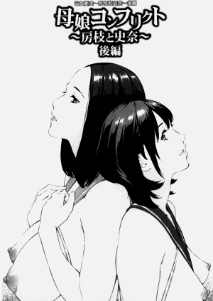 第528頁圖