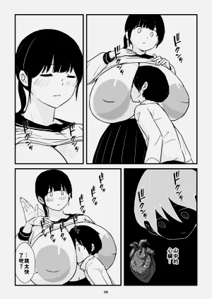第68頁圖