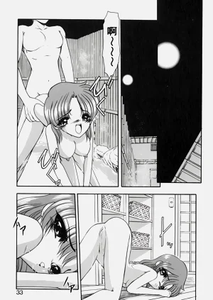 第36頁圖