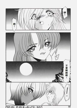 第61頁圖