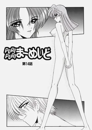 第82頁圖