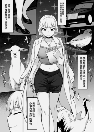 第28頁圖